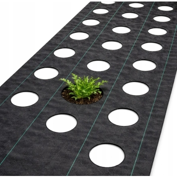 Agrotkanina 0,8x10m 90g/m2 UV+, Trzy rzędy otworów fi7. PREMIUM